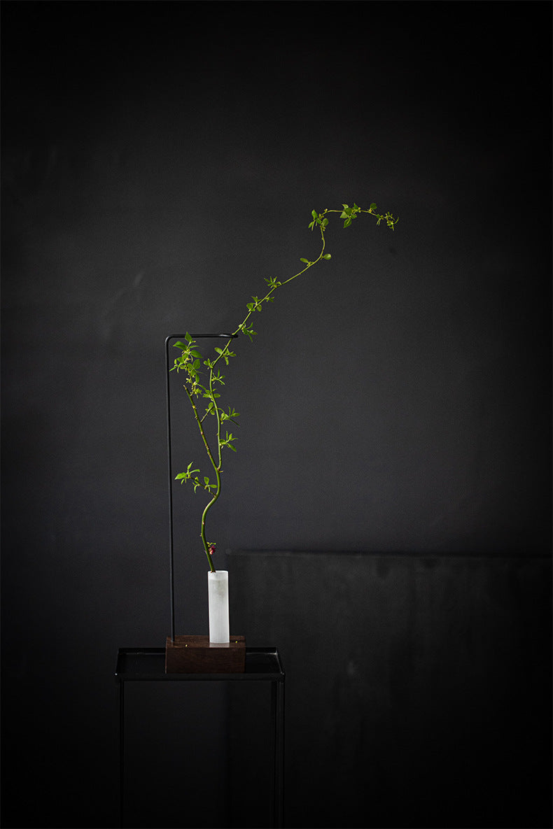 せいかつ Japanese Creative iron Flower Arrangement with Transparent Glass Tube 12*12*50CM