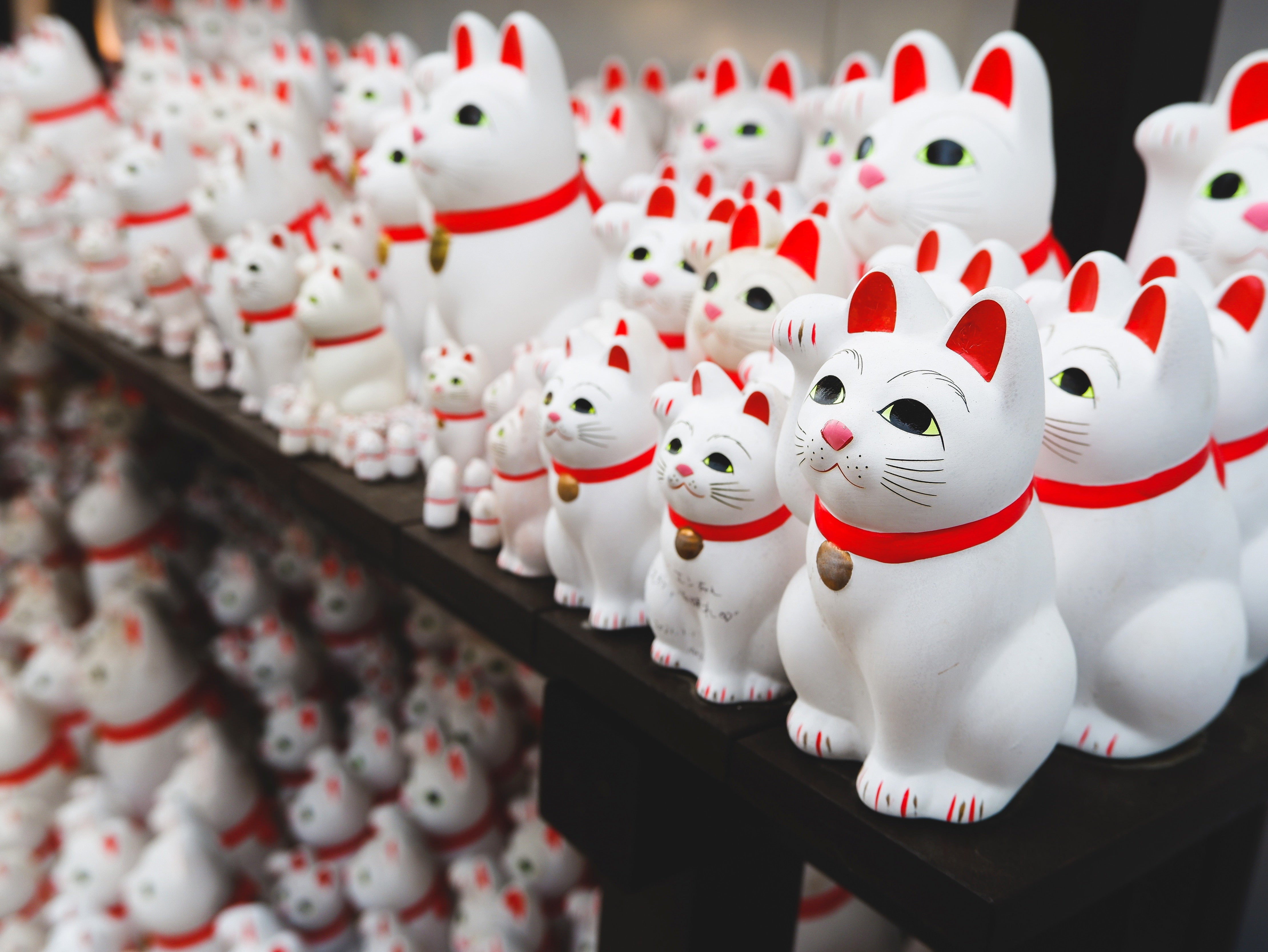 Maneki-neko「招き猫」Lucky Cat