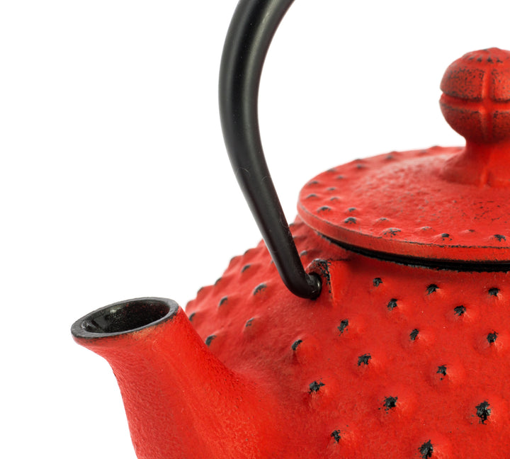 Kanbin Iwachu Tetsubin Teapot Red 320ml