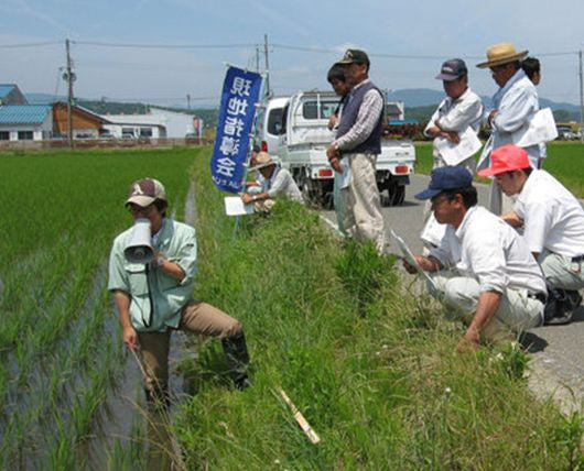 Organic Brown Rice Konotori Hagukuku Okome Munoyaku 2kg