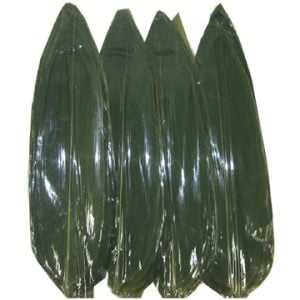 Bamboo Leaves Kappo Sasa 30cm 500pcs