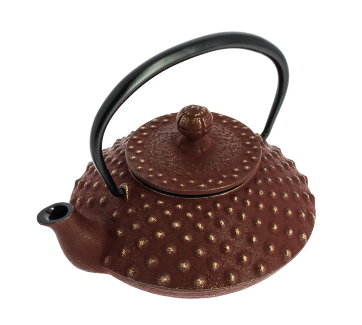 Kanbin Iwachu Tetsubin Teapot Golden Brown 320ml