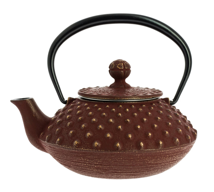 Kanbin Iwachu Tetsubin Teapot Golden Brown 320ml