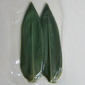 Bamboo Leaves Kappo Sasa 30cm +15cm stem 100pcs