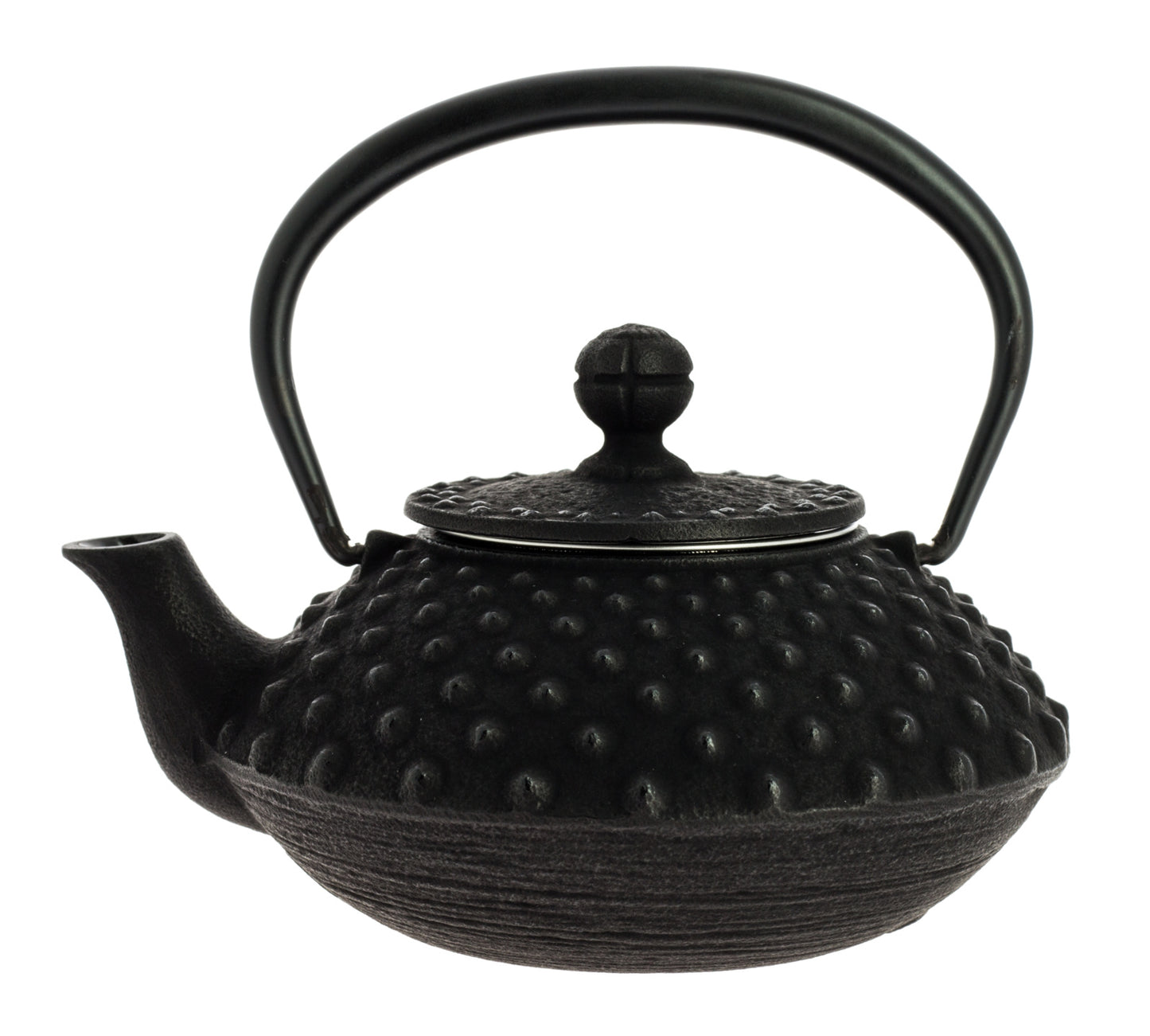 Kanbin Iwachu Tetsubin Teapot Black 320ml