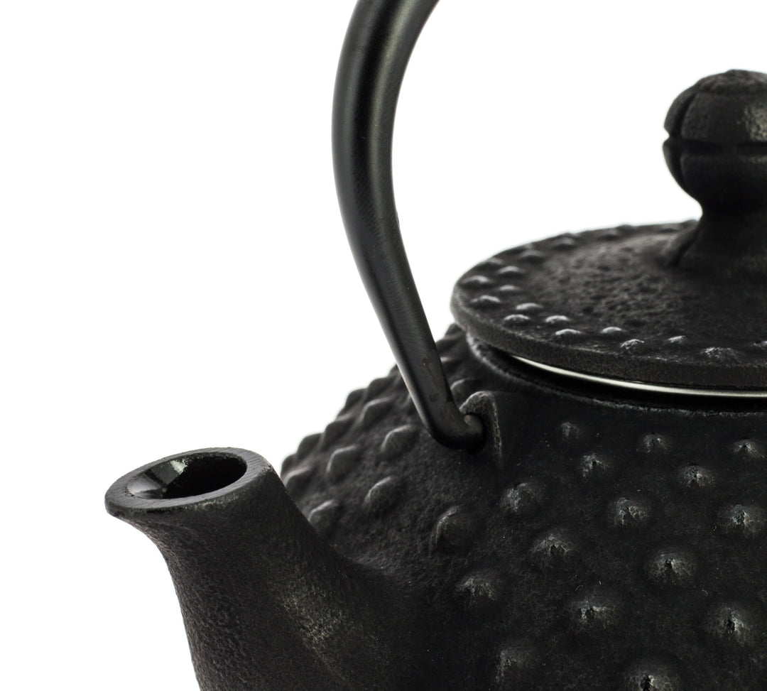 Kanbin Iwachu Tetsubin Teapot Black 320ml