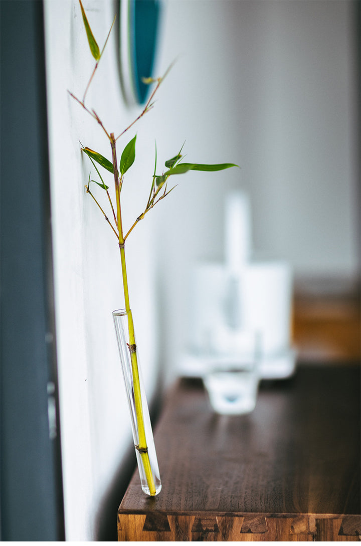 Japanese Creative Iron Flower Arrangement with Transparent Glass Tube