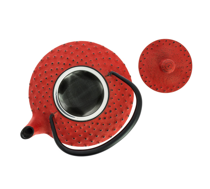 Kanbin Iwachu Tetsubin Teapot Red 320ml