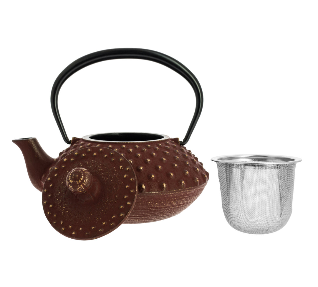 Kanbin Iwachu Tetsubin Teapot Golden Brown 320ml