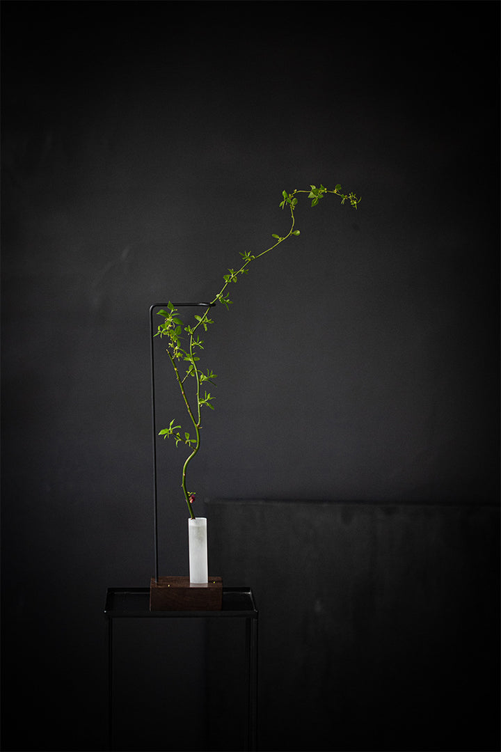 せいかつ Japanese Creative iron Flower Arrangement with Transparent Glass Tube 12*12*50CM