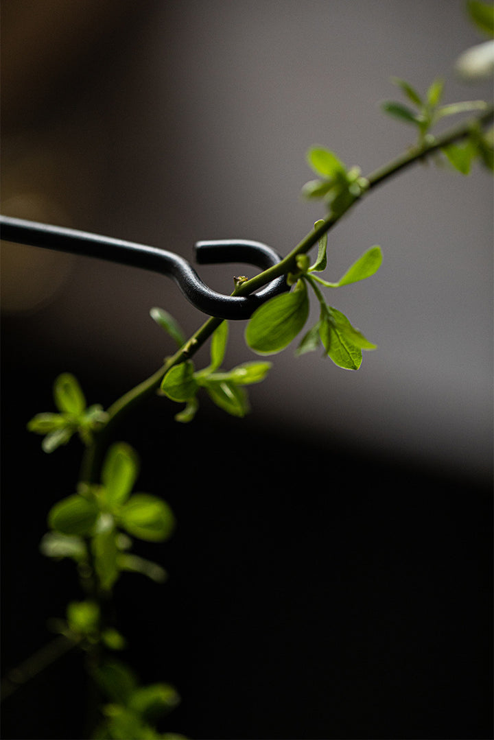 せいかつ Japanese Creative iron Flower Arrangement with Transparent Glass Tube 12*12*50CM