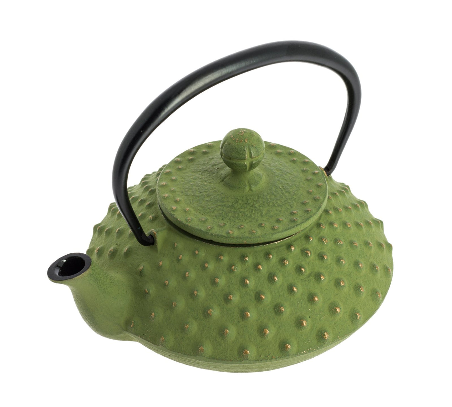 Kanbin Iwachu Tetsubin Teapot Golden Green 320ml