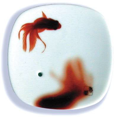 Incense Burner Yume No Yume Goldfish Censer