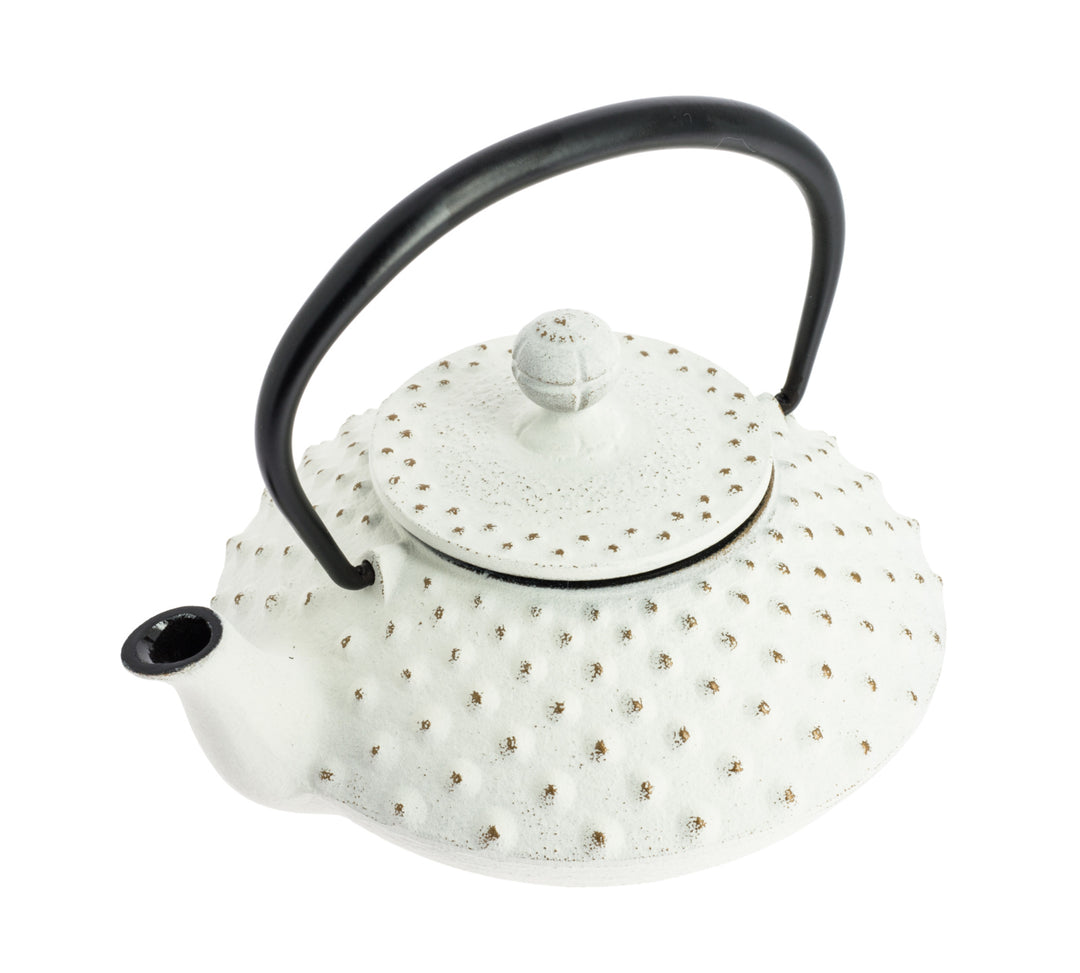 Kanbin Iwachu Tetsubin Teapot Golden White 320ml