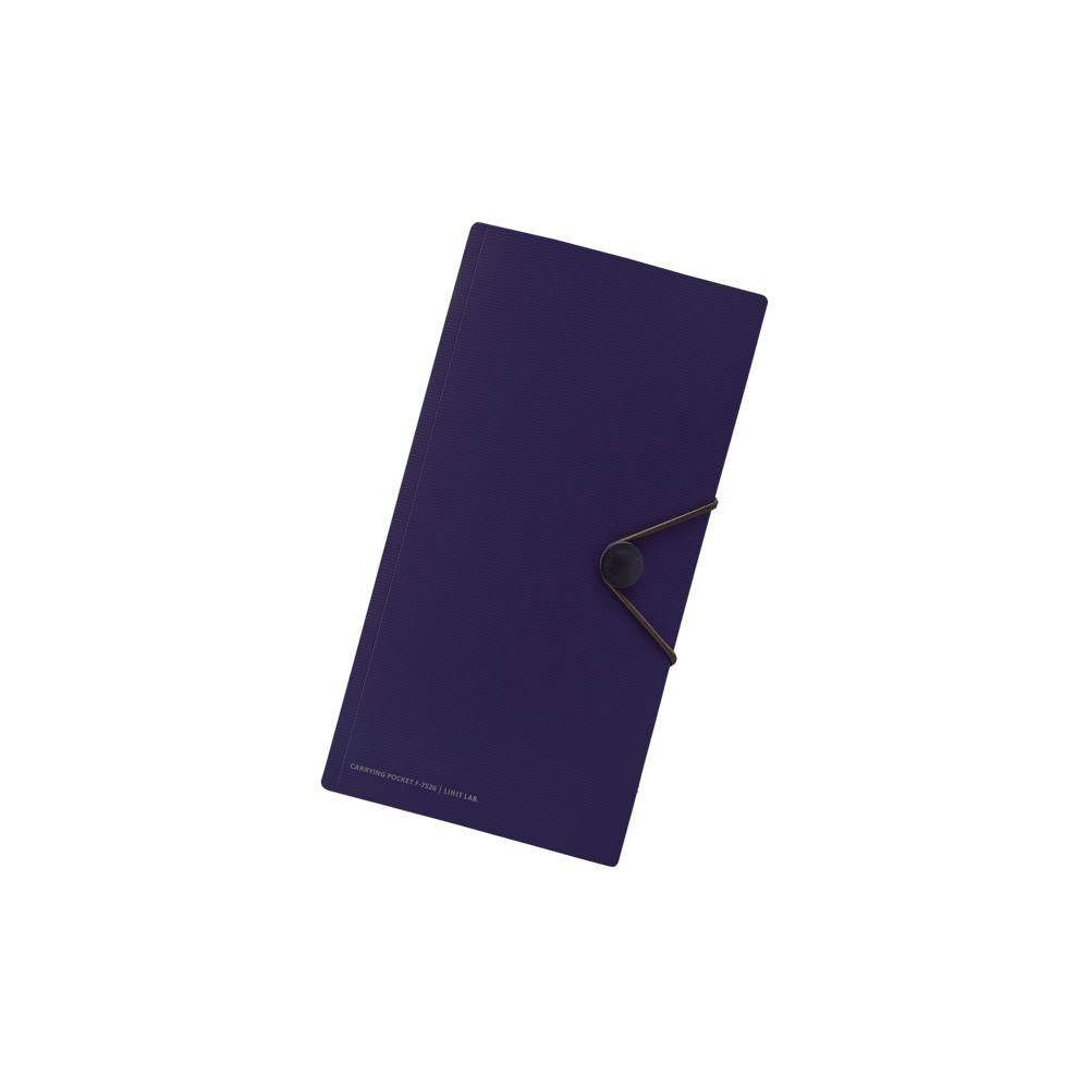 SMART FIT Carrying Pocket for Travel Passport Case Blue
