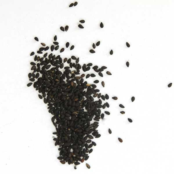 Sesame seeds Black roasted 100g
